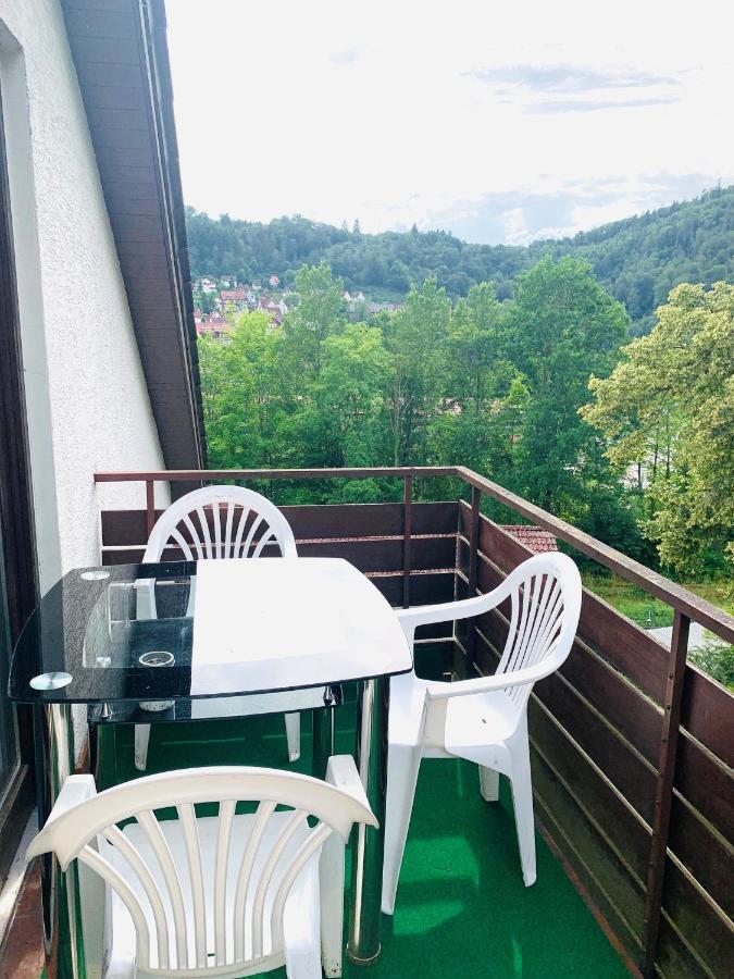 Villa Goncalves, Komplette Wohnung Mit Parkplatz Und Wallbox Vor Der Tuer Calw Exterior foto